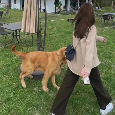 妈妈叫我警长第一季